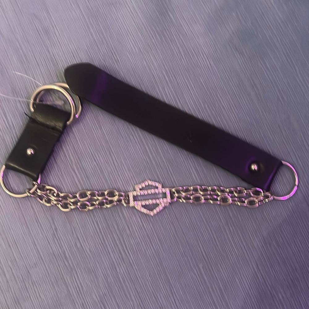 Harley Davidson Boot Buckle or belt